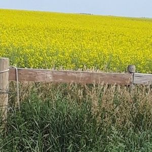 Meet your Posher, Paul jenny